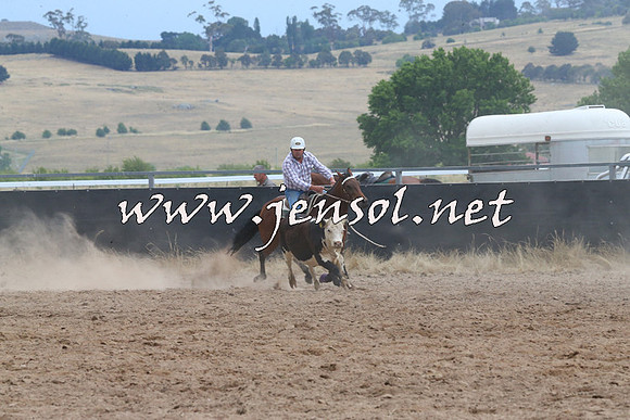 BraidwoodCampdraft2014_2510