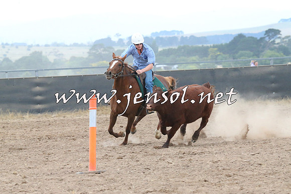 BraidwoodCampdraft2014_2438