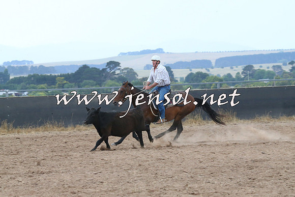 BraidwoodCampdraft2014_2427