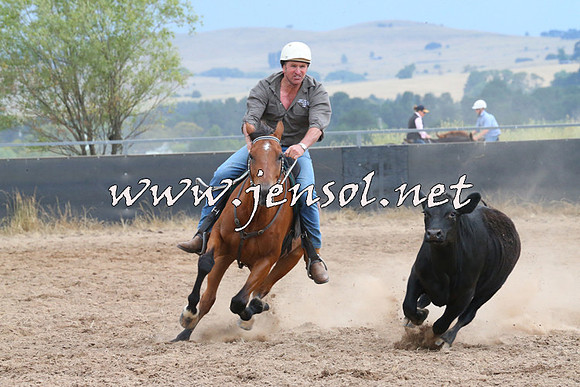 BraidwoodCampdraft2014_2481