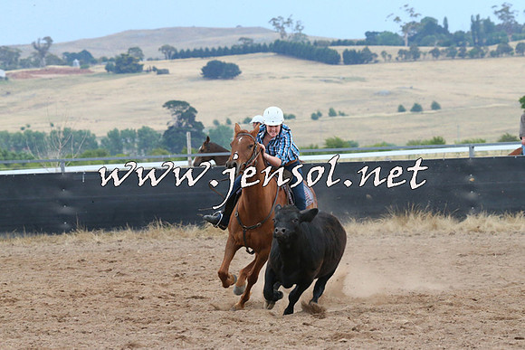 BraidwoodCampdraft2014_2466