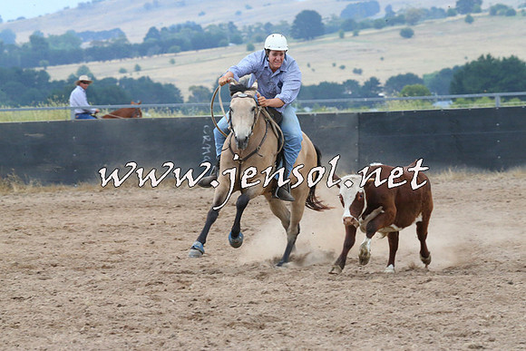BraidwoodCampdraft2014_2424