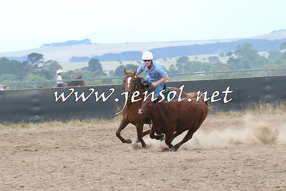 BraidwoodCampdraft2014_2434