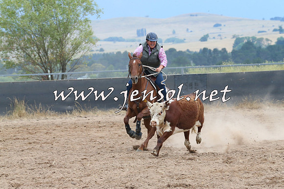 BraidwoodCampdraft2014_2517