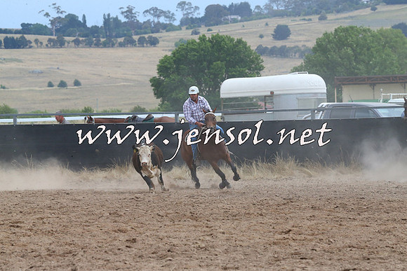 BraidwoodCampdraft2014_2511