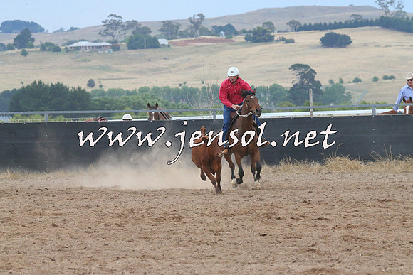 BraidwoodCampdraft2014_2449