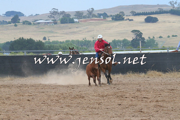 BraidwoodCampdraft2014_2445