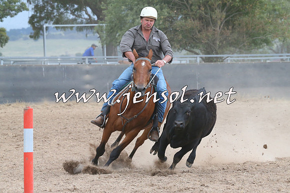 BraidwoodCampdraft2014_2488
