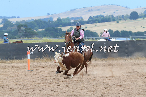 BraidwoodCampdraft2014_2523