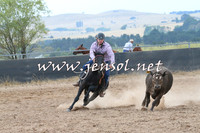 BraidwoodCampdraft2014_2403