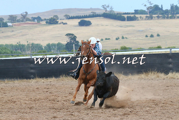 BraidwoodCampdraft2014_2468