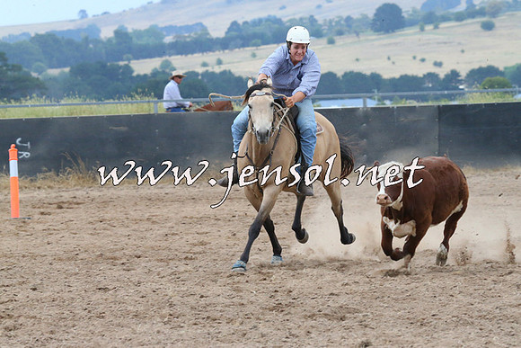 BraidwoodCampdraft2014_2425
