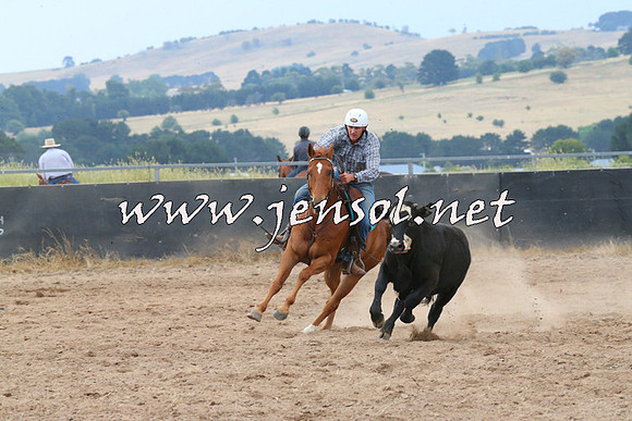 BraidwoodCampdraft2014_2421