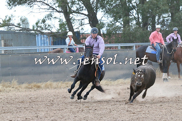 BraidwoodCampdraft2014_2406