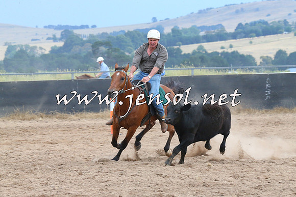 BraidwoodCampdraft2014_2480