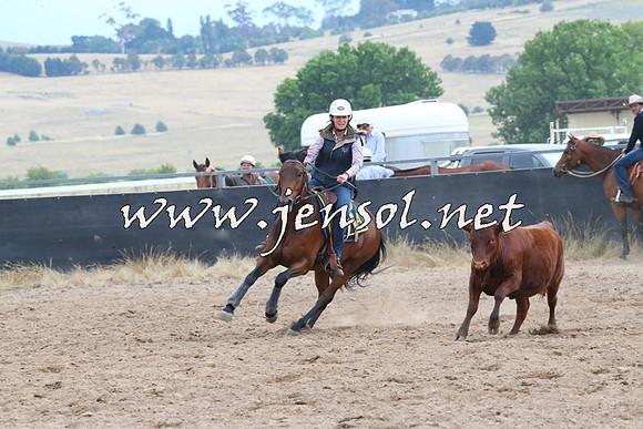 BraidwoodCampdraft2014_2493