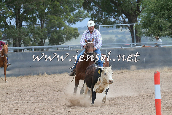 BraidwoodCampdraft2014_2514
