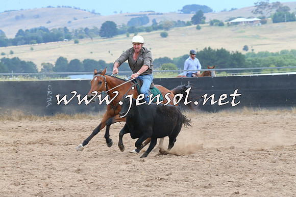 BraidwoodCampdraft2014_2473