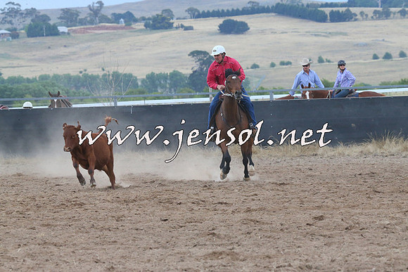 BraidwoodCampdraft2014_2448