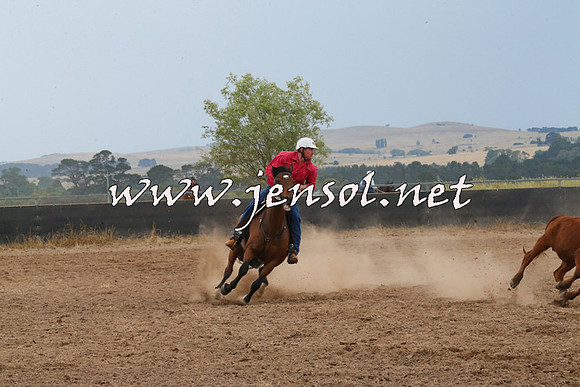 BraidwoodCampdraft2014_2443
