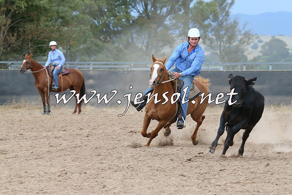 BraidwoodCampdraft2014_2555
