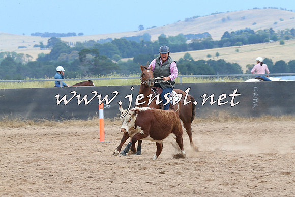 BraidwoodCampdraft2014_2522