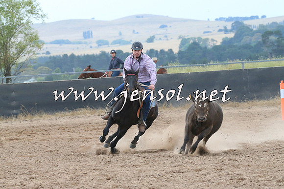 BraidwoodCampdraft2014_2402