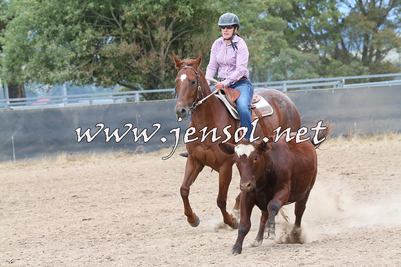 BraidwoodCampdraft2014_2543