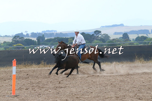 BraidwoodCampdraft2014_2426