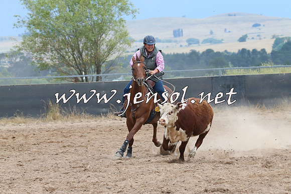 BraidwoodCampdraft2014_2518