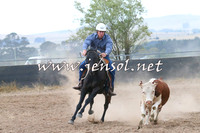 BraidwoodCampdraft2014_2375