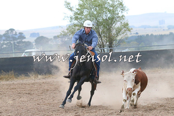 BraidwoodCampdraft2014_2375
