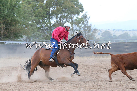 BraidwoodCampdraft2014_2457