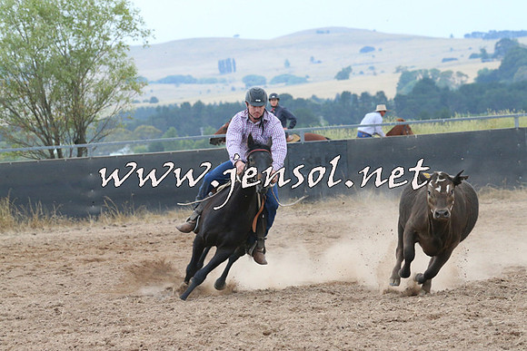 BraidwoodCampdraft2014_2399