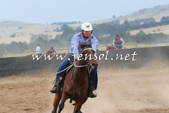 BraidwoodCampdraft2014_2440