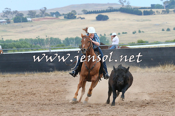 BraidwoodCampdraft2014_2463