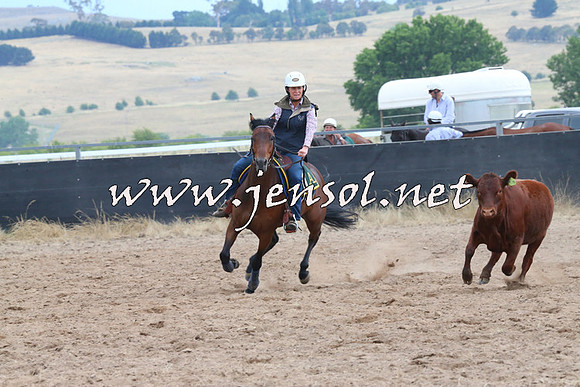 BraidwoodCampdraft2014_2490