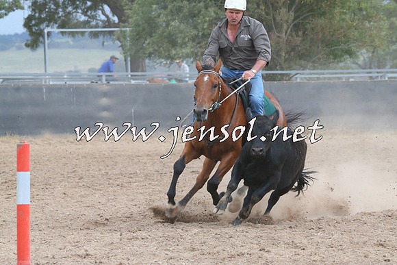 BraidwoodCampdraft2014_2487