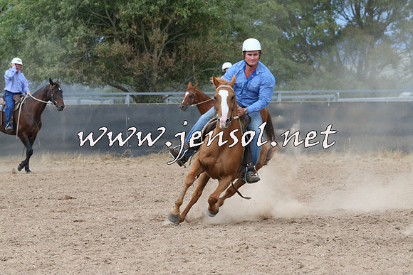 BraidwoodCampdraft2014_2551