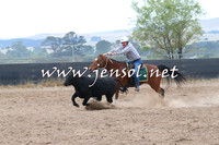 BraidwoodCampdraft2014_2388