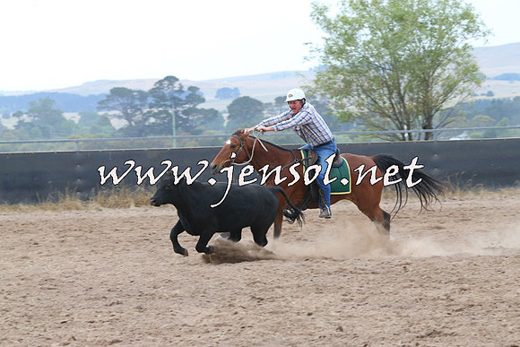 BraidwoodCampdraft2014_2388