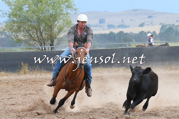 BraidwoodCampdraft2014_2474