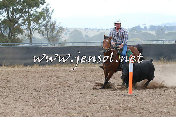 BraidwoodCampdraft2014_2390