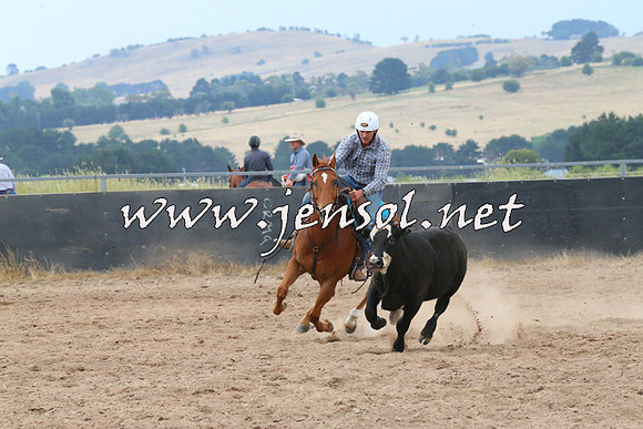 BraidwoodCampdraft2014_2420