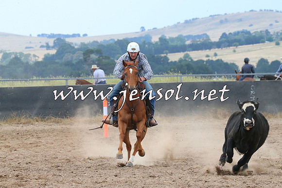 BraidwoodCampdraft2014_2415