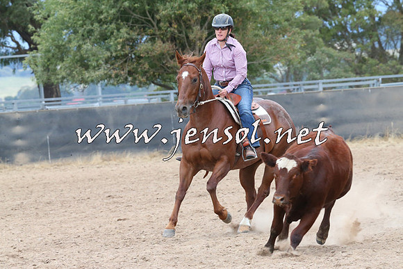 BraidwoodCampdraft2014_2547