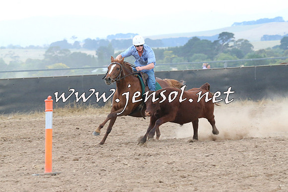 BraidwoodCampdraft2014_2439