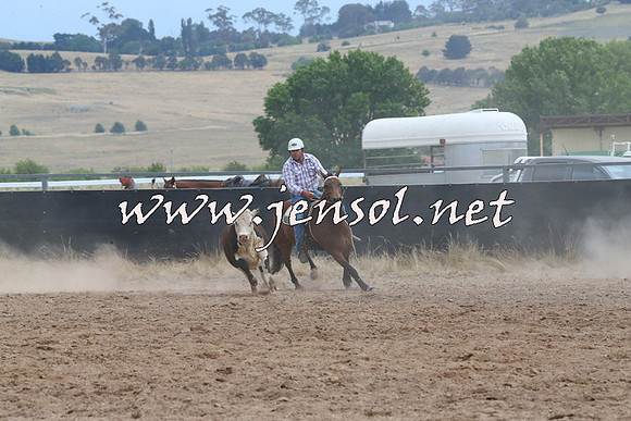 BraidwoodCampdraft2014_2512
