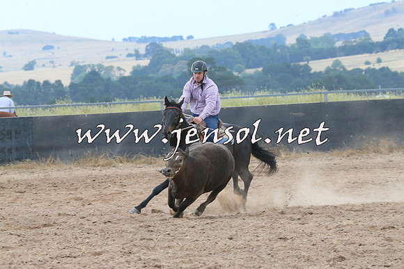 BraidwoodCampdraft2014_2398