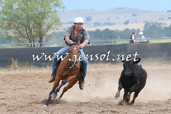 BraidwoodCampdraft2014_2477